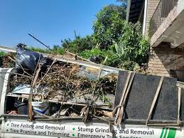 Best Shed Removal  in Hwatha, IA